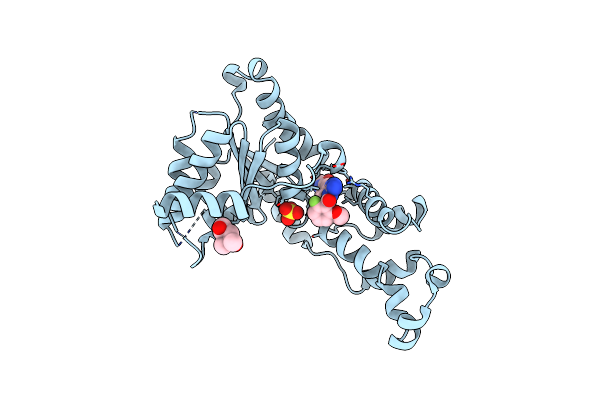 6P13 image