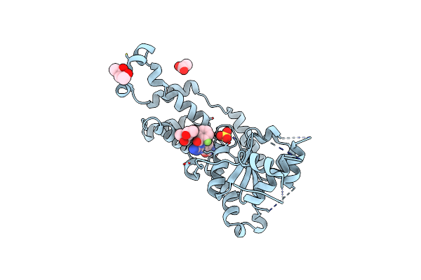 6P14 image