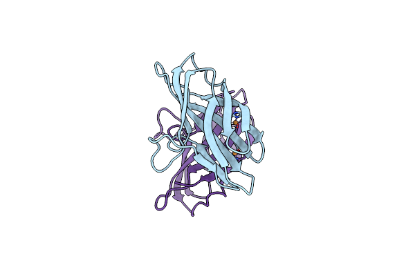 6P16 image