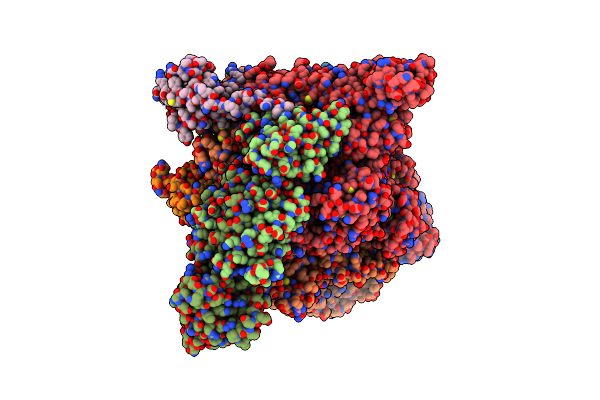 6P19 image