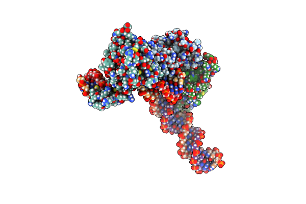6P1A image