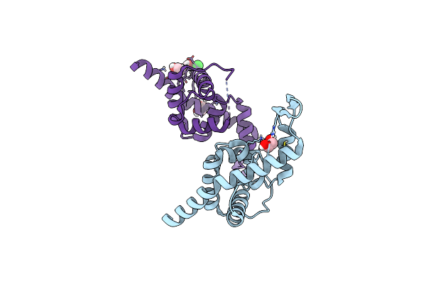 6P1B image