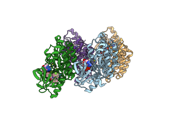 6P1D image