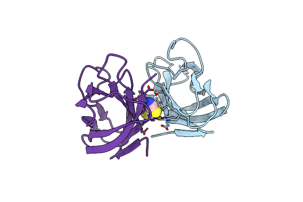 6P1E image