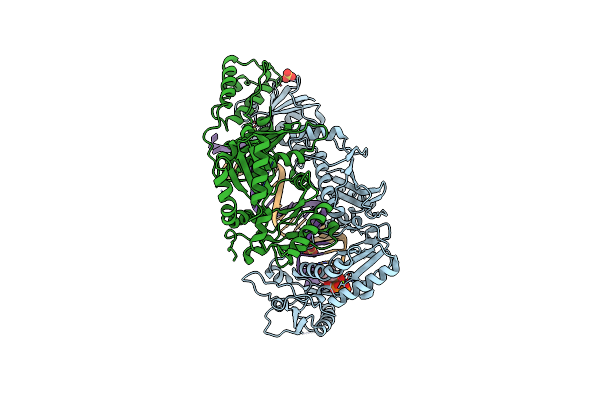 6P1I image