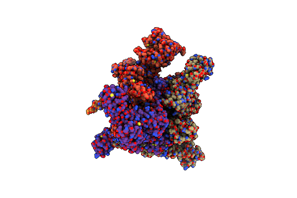 6P1K image