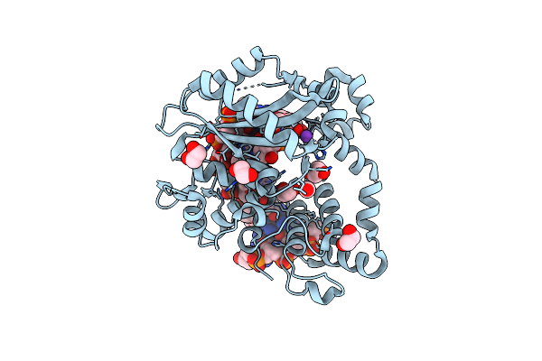 6P1M image