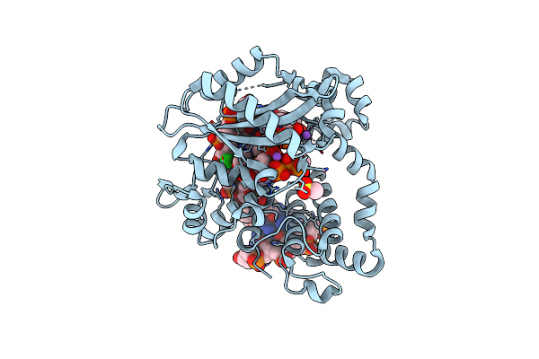 6P1S image