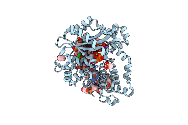 6P1T image