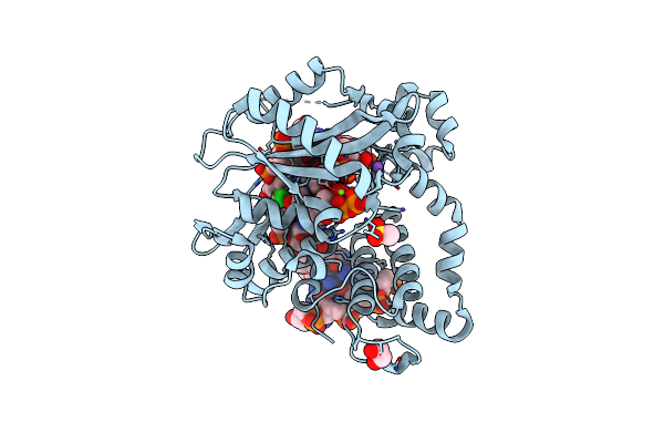 6P1V image