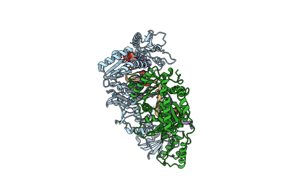 6P1X image