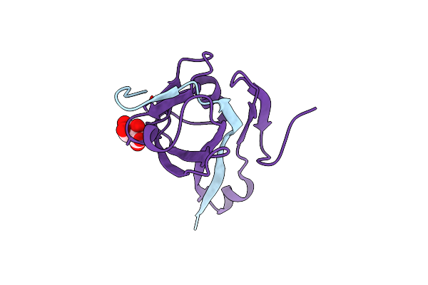 6P1Y image