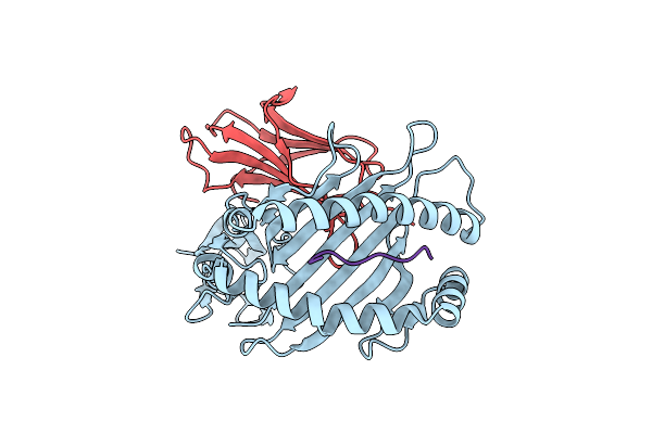 6P23 image