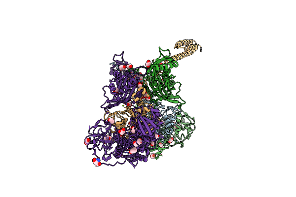 6P24 image