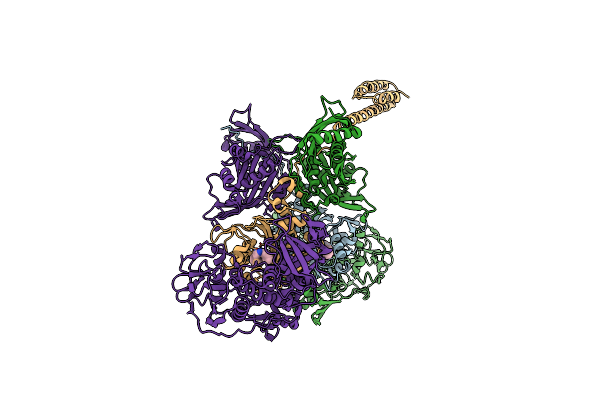 6P26 image