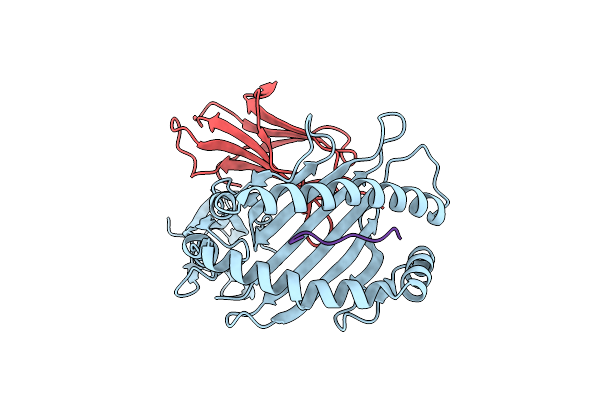 6P27 image