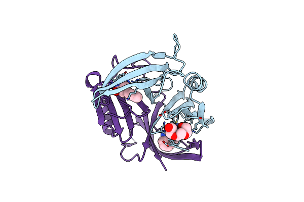 6P29 image