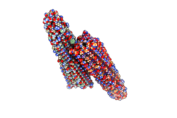 6P2A image