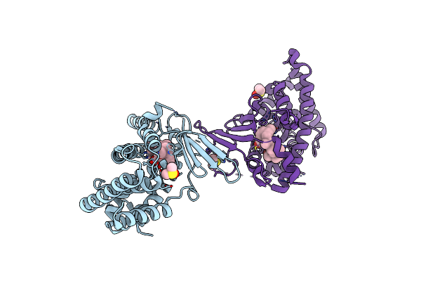 6P2B image