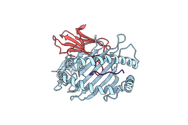 6P2C image