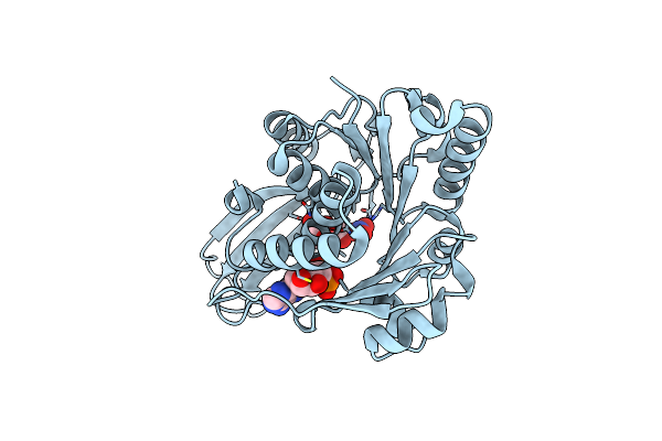 6P2D image