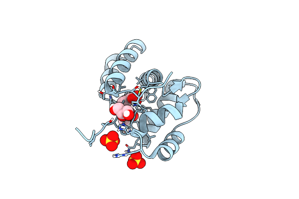 6P2E image