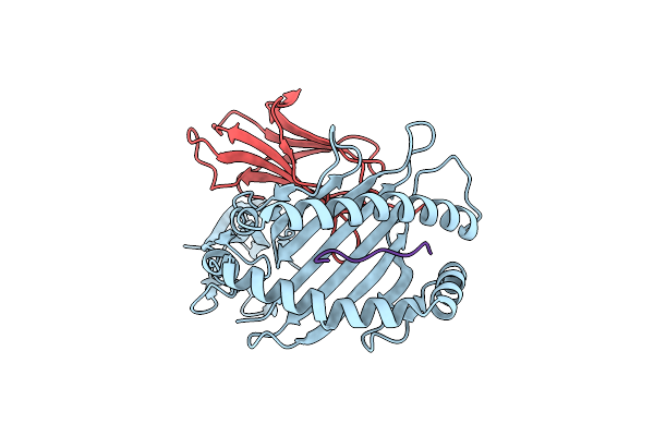 6P2F image