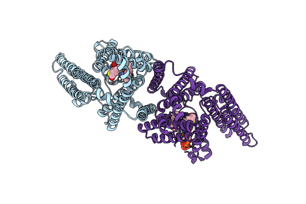 6P2J image