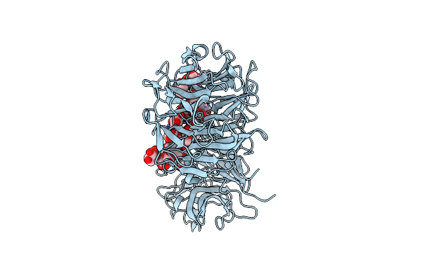 6P2L image