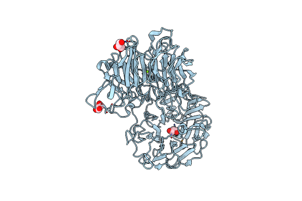 6P2N image