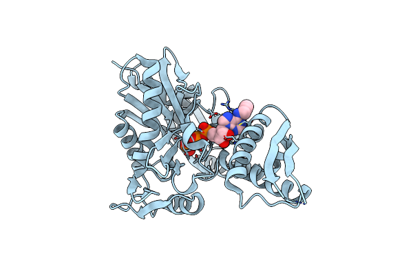 6P2U image
