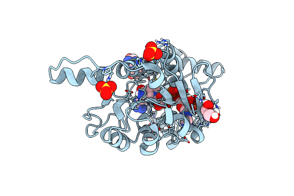 6P35 image