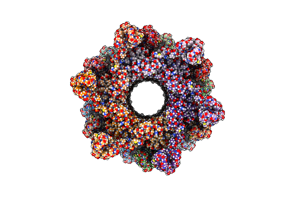 6P3E image