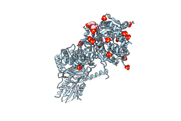 6P3I image