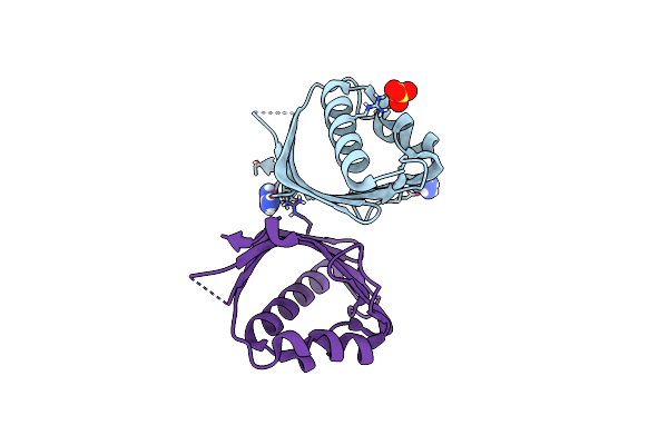 6P3L image