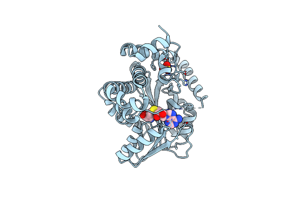 6P3M image