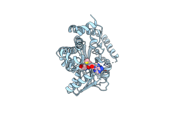 6P3N image