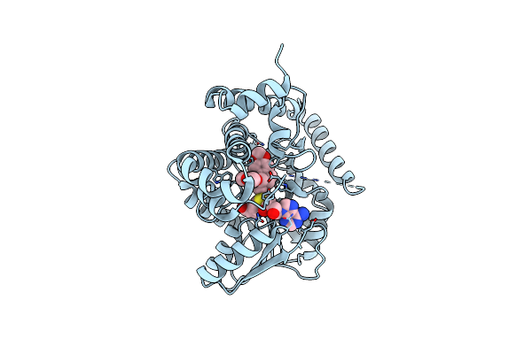 6P3O image