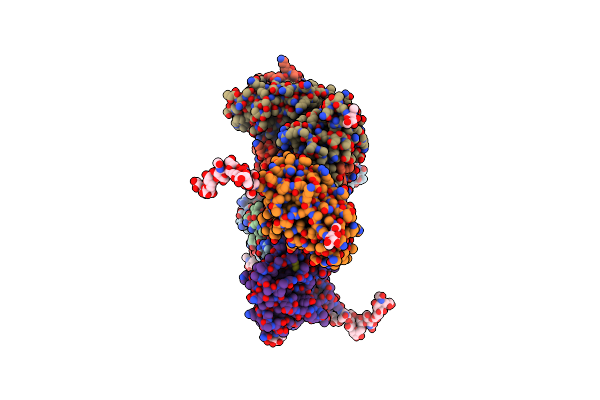 6P3R image