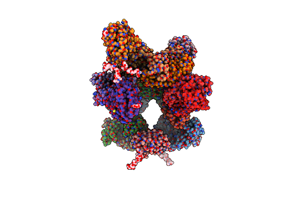 6P3S image