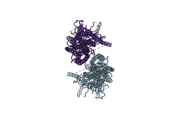 6P46 image