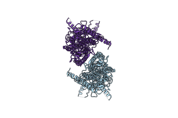 6P47 image