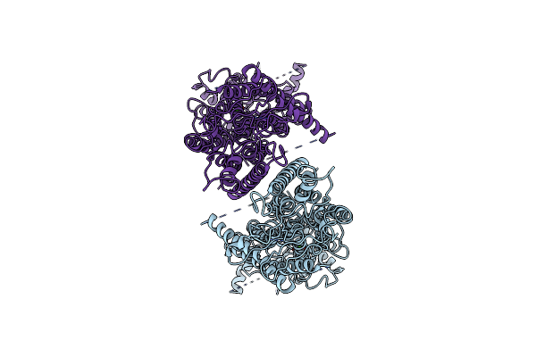 6P48 image