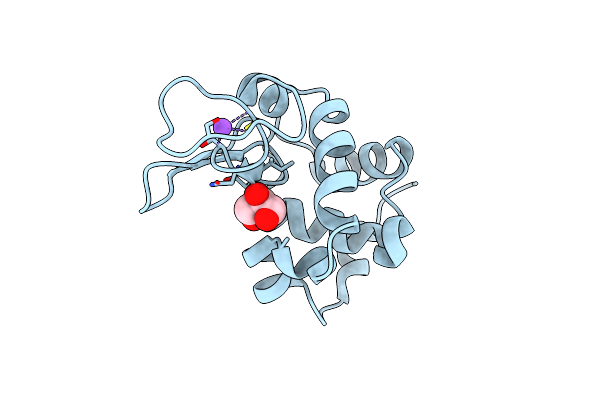 6P4D image