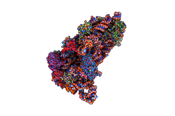 6P4H image