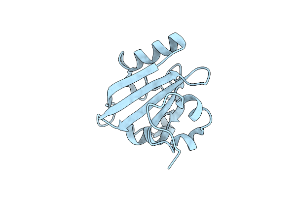 6P4I image