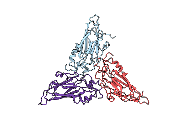 6P4L image
