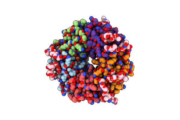6P4M image