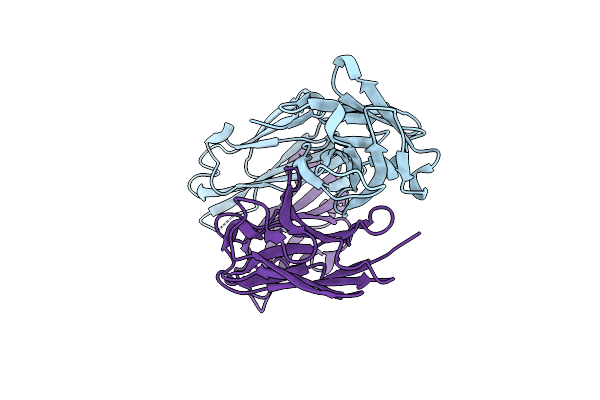 6P4Y image
