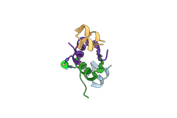 6P4Z image